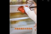 肉放冰箱有异味怎么办？（解决食品储存过程中出现异味的实用方法）