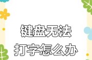电脑有的键盘打不出字是怎么回事？如何快速诊断键盘故障？