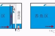 如何处理鱼缸净水器漏水问题（解决鱼缸净水器漏水的实用技巧）