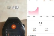 智能手表圆盘心率监测功能如何使用？常见问题有哪些？