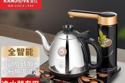 解决净水器上水后不出水的方法（保证净水器正常运行的小窍门与维修技巧）