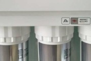 解决净水器滤芯无法加水的问题（可能的原因及解决方法）