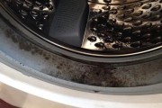 解决滚筒洗衣机发臭问题的有效清洗方法（打造清新宜人的洗衣环境）
