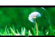松下电视机无法开机的解决方法（故障分析及修复技巧）