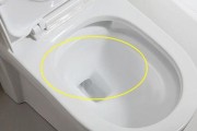 马桶的选择（如何选择适合的马桶以提升生活质量）