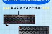 黑白按键的键盘是什么类型？有什么特别之处？