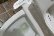 松下马桶污垢清除大揭秘（探索松下马桶污垢去除的有效方法）