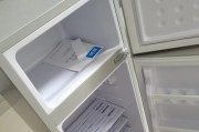 冰箱也需要消毒吗（了解冰箱消毒的重要性及正确方法）