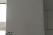 贝雷塔壁挂炉红灯亮的故障及维修技巧（解决壁挂炉红灯亮的常见问题和技巧）