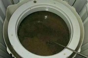 滚筒洗衣机的污垢清洗方法（轻松清除滚筒洗衣机内的污垢）