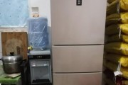 小天鹅冰箱不制冷的原因及解决方法（揭开小天鹅冰箱不制冷背后的秘密）