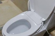摩普马桶冲水阀更换指南（解决常见故障）
