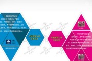 机器人批发基地选择指南是什么？