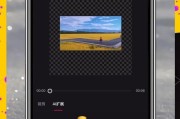 苹果手机屏幕固定比例调整方法是什么？如何进行调整？