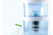 净水器内水桶漏水的处理方法（解决净水器内水桶漏水问题的有效措施）