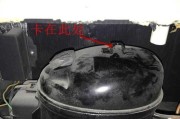 解析伊莱克斯冰箱压缩机噪音问题（原因分析与维修指南）