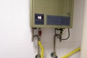 天燃气热水器不打火的原因及故障解决方法（探究天燃气热水器不打火的原因）