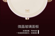 电磁炉烧itp的原因及解决方法（探究电磁炉烧itp的原因与如何预防）