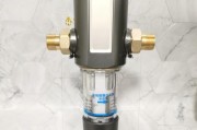 中央净水器水压过高的原因及解决方法（探究中央净水器水压过高的问题）