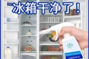 冰柜异味大咋办（有效去除冰柜异味的方法与技巧）