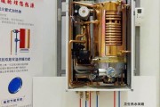 林内壁挂炉排烟故障的原因及解决方法（探究林内壁挂炉排烟故障的几个主要原因及解决方法）