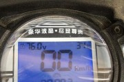 电瓶显示器变白色的原因及解决办法（探究电瓶显示器变白的背后原因）