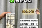 键盘amp是什么意思？amp在键盘上的含义是什么？