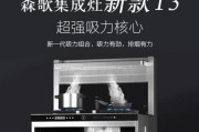 集成环保灶故障原因解析（探究集成环保灶故障的原因及解决方法）