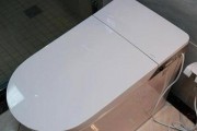 智能马桶不上水的原因及解决办法（探究以津上马桶不上水的原因）