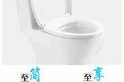 如何选择合适尺寸的马桶？（马桶尺寸选择的关键因素与注意事项）