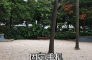 多方位拍摄器怎么用手机拍照？有哪些技巧？