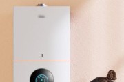 万保壁挂炉E1故障原因及解决方法（万保壁挂炉E1故障排查与修复指南）