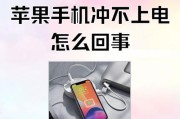 苹果手机为何无法充电（探究苹果手机无法充电的可能原因及解决方案）