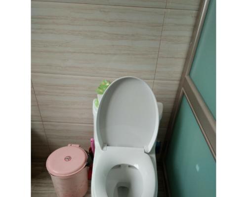 如何解决九牧马桶洗不干净的问题（有效清洗马桶的方法及技巧）