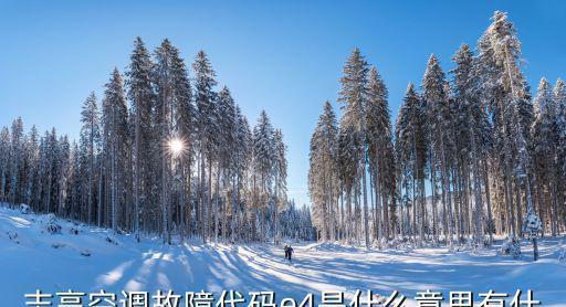解析空调出现E4错误的原因及解决办法