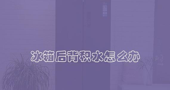 冰箱质量问题处理指南（了解冰箱质量问题的原因及解决方法）