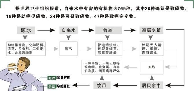净水器导致骨质疏松（揭示净水器滤芯中的健康风险与防范之策）