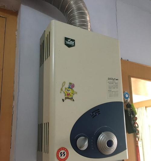 神州牌热水器Eo故障处理方法（了解Eo故障的原因及解决方案）