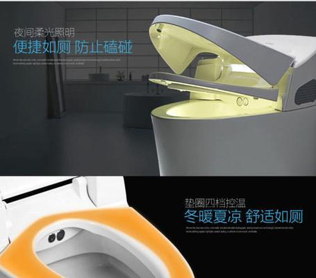 智能马桶喷头漏水原因及维修方法（解决智能马桶喷头漏水的有效措施）