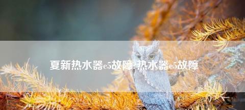 夏普热水器显示故障代码E5的原因和维修方法详解（快速排除夏普热水器显示故障代码E5的几种可能原因和应对方法）