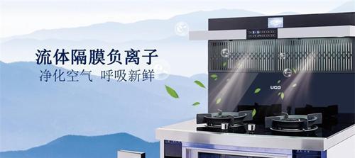 集成灶降低噪声的有效方法（打造安静厨房的关键技巧）