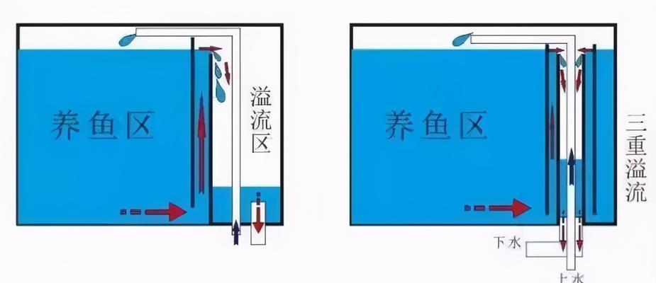 如何处理鱼缸净水器漏水问题（解决鱼缸净水器漏水的实用技巧）