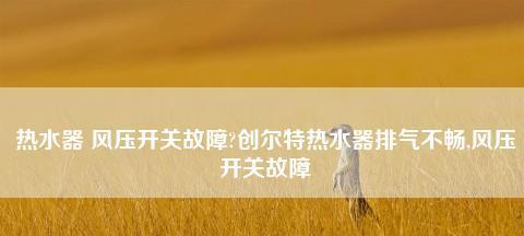 创尔特热水器显示E1故障解决方法（创尔特热水器E1错误代码的原因和维修指南）