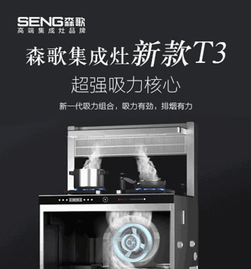 集成环保灶故障原因解析（探究集成环保灶故障的原因及解决方法）