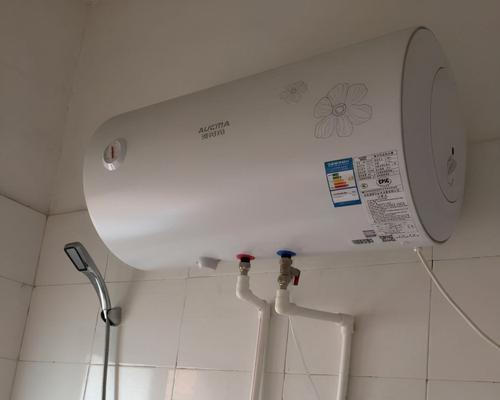 电热水器灯亮水却不热的原因及解决方法（探究电热水器灯亮却无热水的常见原因和应对措施）