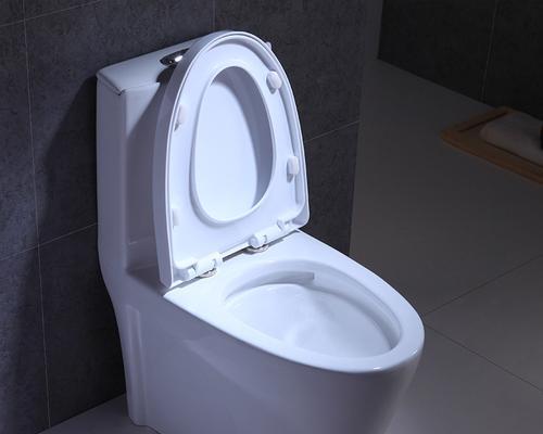 解决浪鲸马桶不上水问题的方法（原因分析及实用建议）