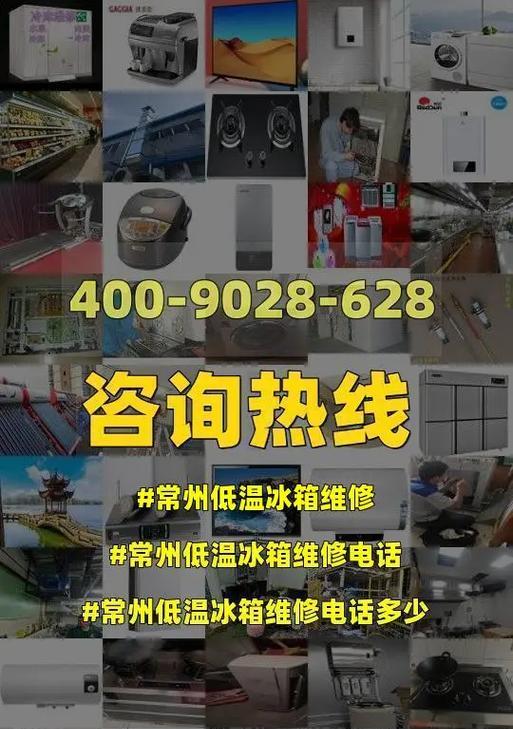 三洋低温冰箱故障代码E10维修指南（解决三洋低温冰箱故障代码E10的简单方法）