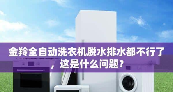 解决全自动洗衣机不排水问题的方法（快速有效处理洗衣机不排水困扰）
