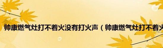 帅康燃气灶打不着火的原因及解决方法（为什么无法点燃）