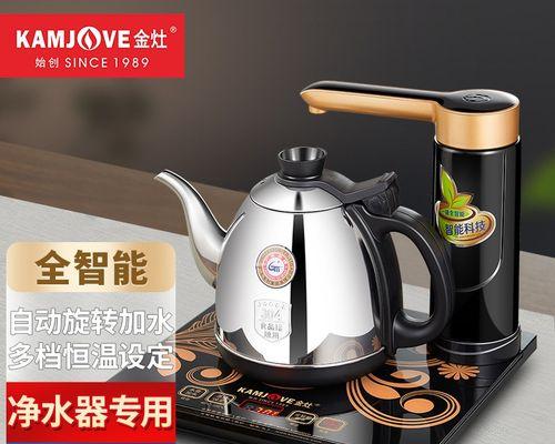 解决净水器上水后不出水的方法（保证净水器正常运行的小窍门与维修技巧）